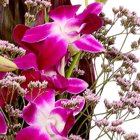 Asiatische Orchideen mit Vase