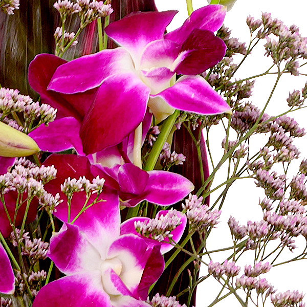 Asiatische Orchideen mit Vase