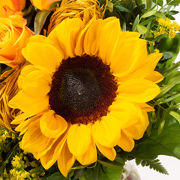 Flower Bouquet Vincent