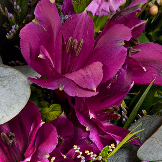 Premiumstrauß Traumhaft