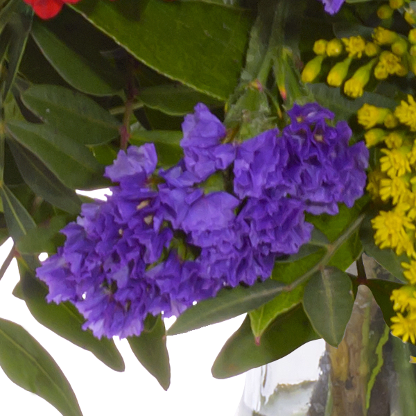 Flower Bouquet Frühlingsbeginn