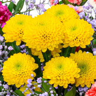 Blumenstrauß Blütenfreude