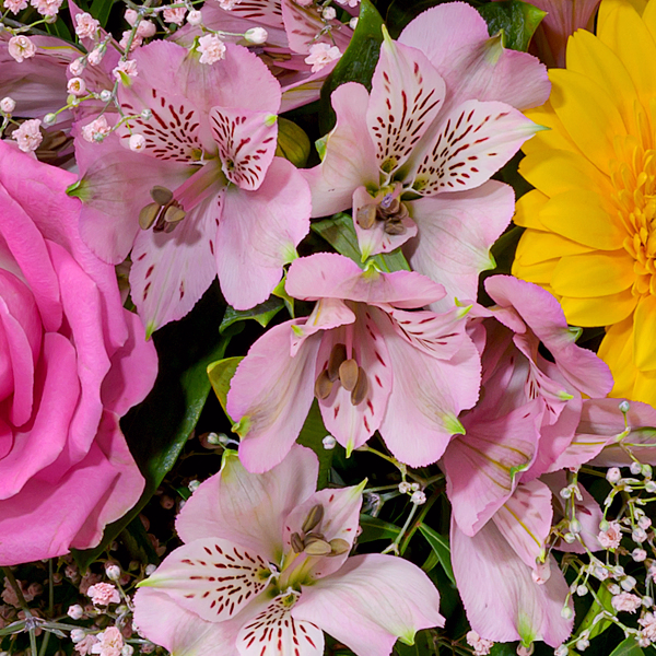 Flower Bouquet Farbentanz