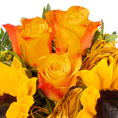 Flower Bouquet Vincent