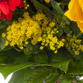 Blumenstrauß Blütenfee