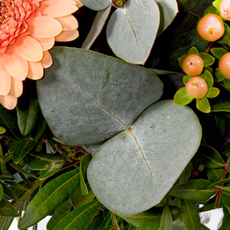 Blumenstrauß Morgentau