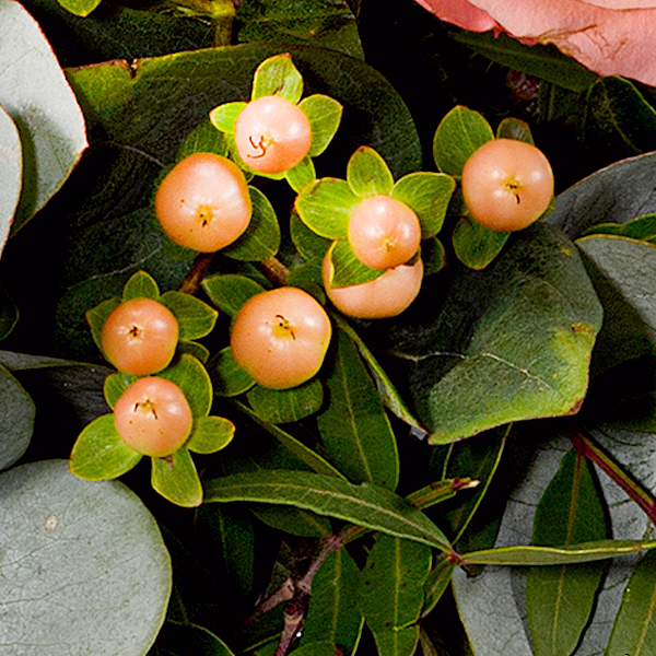 Blumenstrauß Morgentau