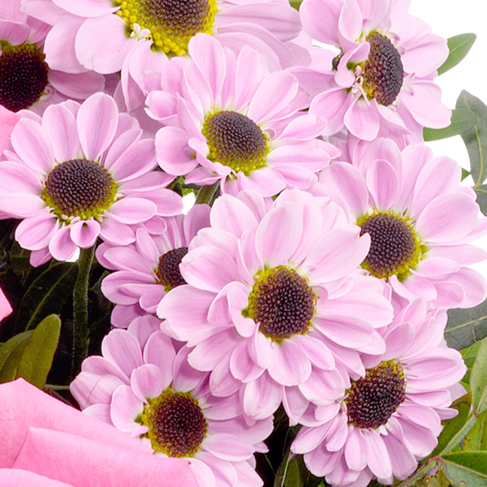 Blumenstrauß Freude