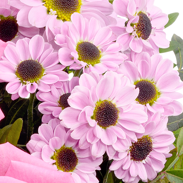 Flower Bouquet Freude