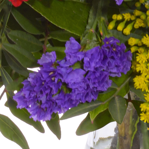 Blumenstrauß Frühlingsbeginn