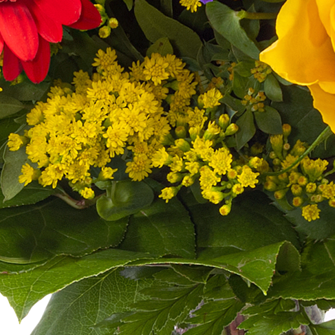 Flower Bouquet Blütenfee