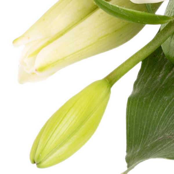 Sympathy Bouquet Liebevoller Gruß