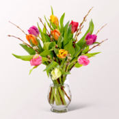 10 Parrot tulips with willow catkins