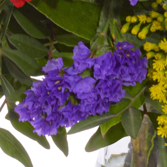 Flower Bouquet Frühlingsbeginn