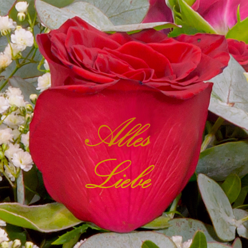 Flower Bouquet „Alles Liebe“