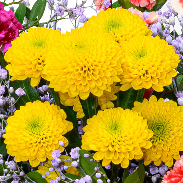 Flower Bouquet Blütenfreude