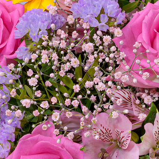 Blumenstrauß Farbentanz